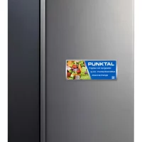 FRIGOBAR PUNKTAL 93 LTS